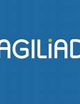 Image result for aguild�a