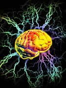 Image result for Brain Activity
