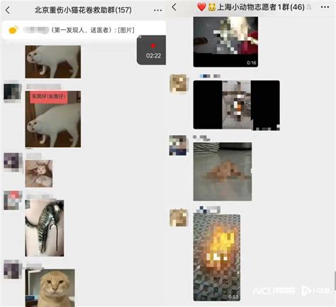 Image result for Large Spring Clips