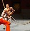 Image result for Kung Fu Training Art
