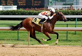 Image result for Horse Racing Desktop Backgrounds