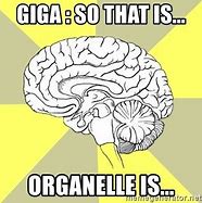 Image result for Ai Giga Brain Meme