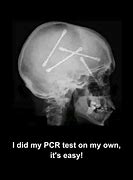 Image result for PCR Protocol Meme