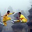 Image result for Martial Arts Chinese Monk