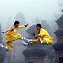 Image result for Flying Kick Martial Arts