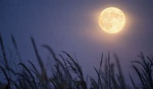 Image result for October New Moon