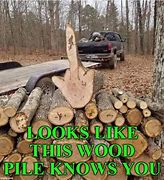 Image result for Wood Log Meme