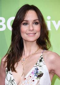 Image result for Sarah Wayne Callies