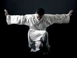 Image result for Crane Style Martial Arts