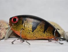 Image result for Custom Fishing Lures