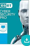 Image result for Eset Cyber Security Pro