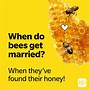 Image result for So That's How Pollination Works Meme