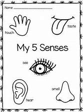Image result for 5 Senses Pinterest