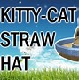 Image result for Staring Cat Roblox