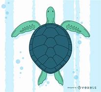 Image result for Turtle Floating in Pond Sketch