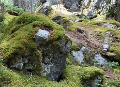 Image result for Vecchia Moss Rock