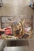 Image result for Fossil Blind Box