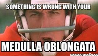 Image result for Waterboy Meme