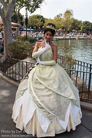 Image result for Disney Princess Tiana Dress