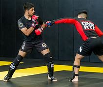 Image result for People Sparring