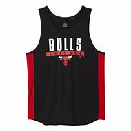 Image result for NBA Chicago Bulls