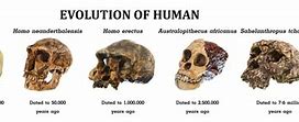 Image result for Oldest Human Fossil Found