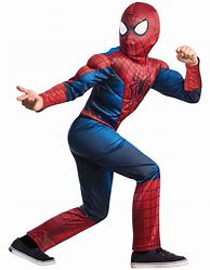 Image result for Amazing Spider-Man 2 Costume