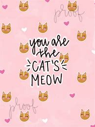 Image result for Cute Meow Wallpaper