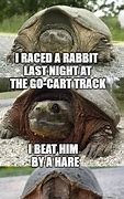 Image result for Tortoise Race Meme