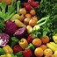 Image result for Vegetables. Use Veggies