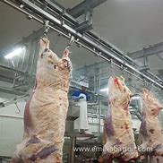 Image result for Halal Cow Slaughter
