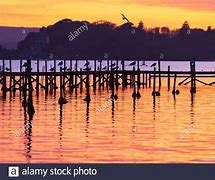 Image result for Long Island Poole Harbour
