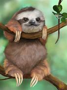 Image result for Sloth PC Wallpaper