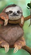 Image result for Cool Sloth Backgrounds
