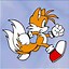 Image result for Sonic Tikal the Echidna