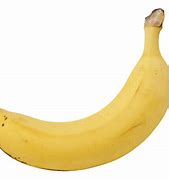 Image result for Banana Palmetto Logo