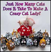 Image result for Crazy Cat Lady Meme