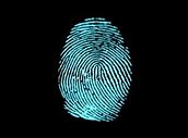 Image result for DNA Fingerprinting Technique