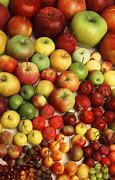 Image result for little apples fruits