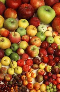 Image result for Different Kinds of Apple's