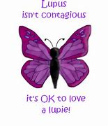 Image result for Purple Butterfly Lupus