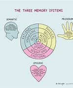 Image result for Three Phases of Memory
