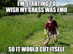 Image result for SGM Grass Meme