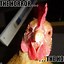 Image result for Chicken Funny Cooking Memes