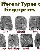 Image result for Different Kinds of Fingerprints