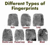Image result for Your Fingerprints