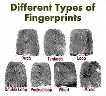 Image result for Find My Fingerprint