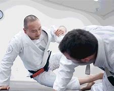 Image result for World Martial Arts School