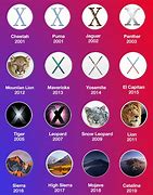 Image result for Mac OS X Versions