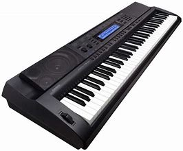 Image result for Casio Electronic Keyboard